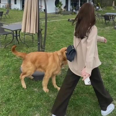 篮子里的恶魔